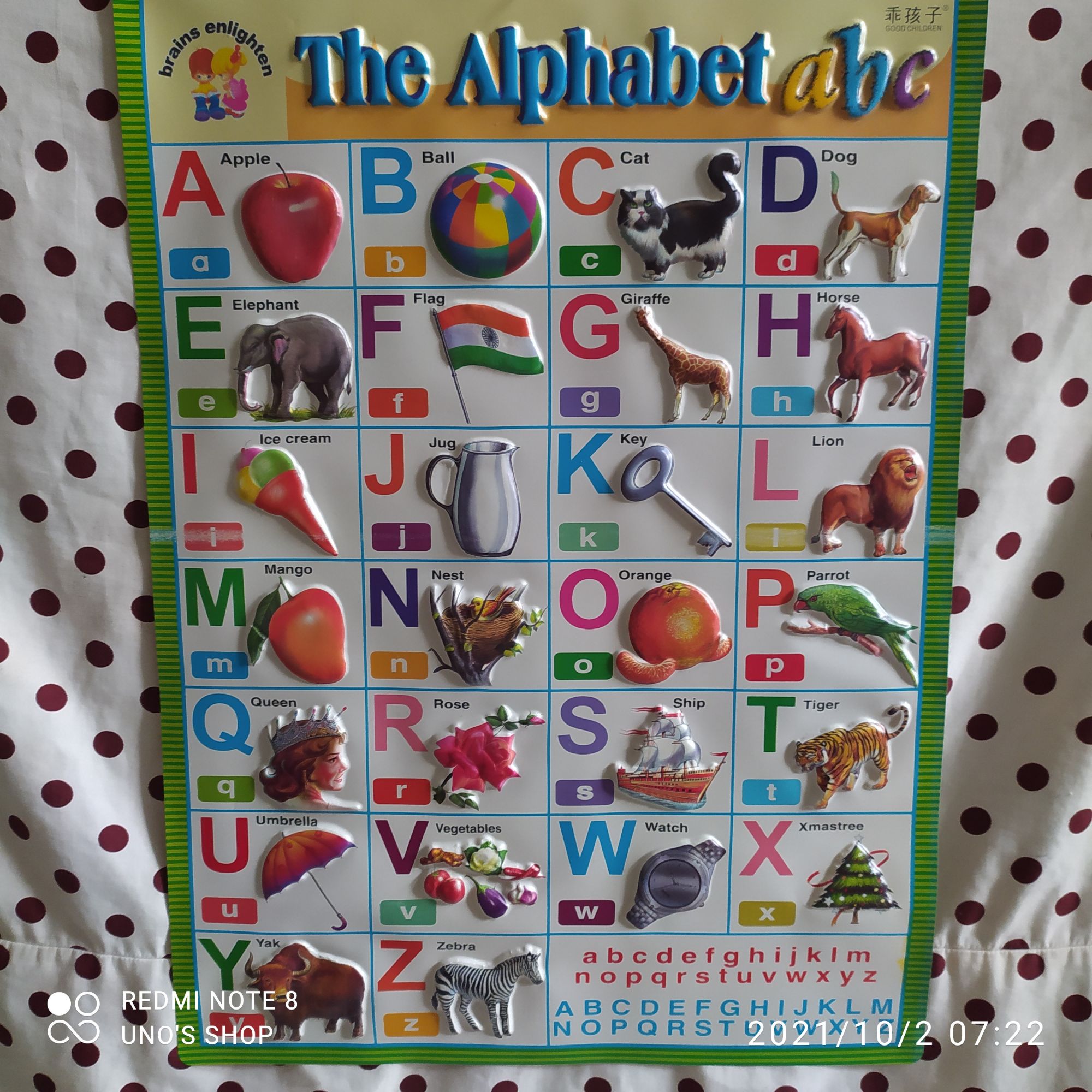 4pcs. educational plastic wall chart embossed ( ABC, NUMBERS, ANIMALS AND  PARTS OF THE BODY) 16