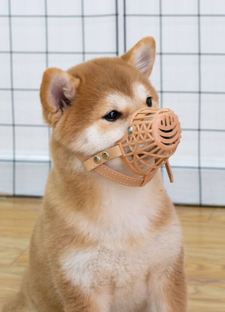 Shiba inu clearance muzzle