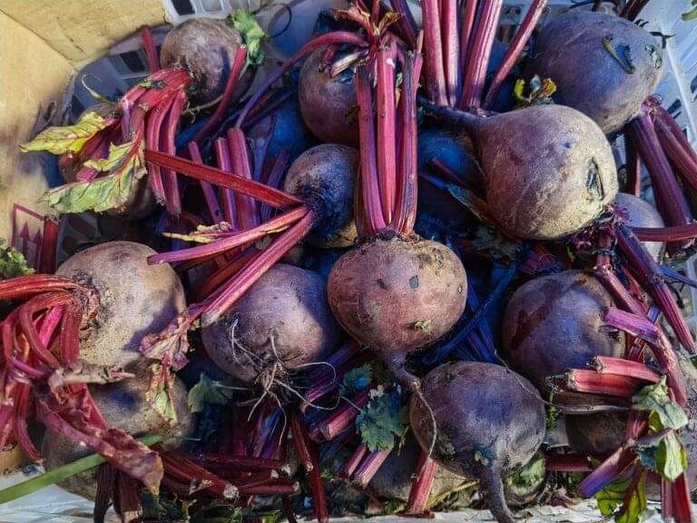 Beets Small Sugar Beets fresh vegetables 1 kilo (Metro Manila Greater