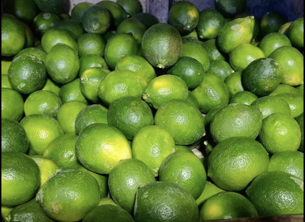 dayap-local-native-fresh-lime-philippines-green-lemon-fresh-fruits