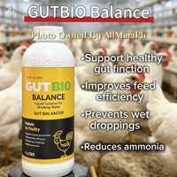 BIOSTAR GUTBIO BALANCE LIQUID SOLUTION FOR DRINKING WATER ( GUT BALANCER ) PROBIOTIC FOR POULTRY