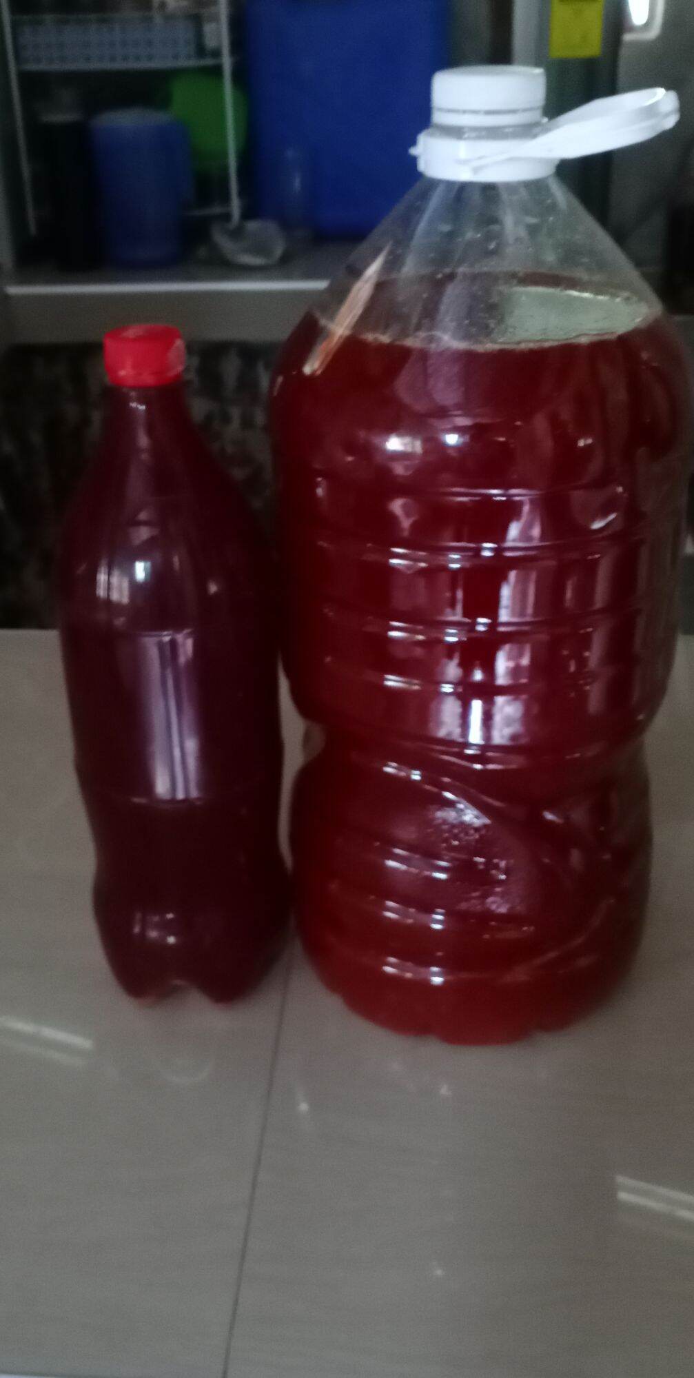 bahalina tuba from leyte(coconut wine) Lazada PH