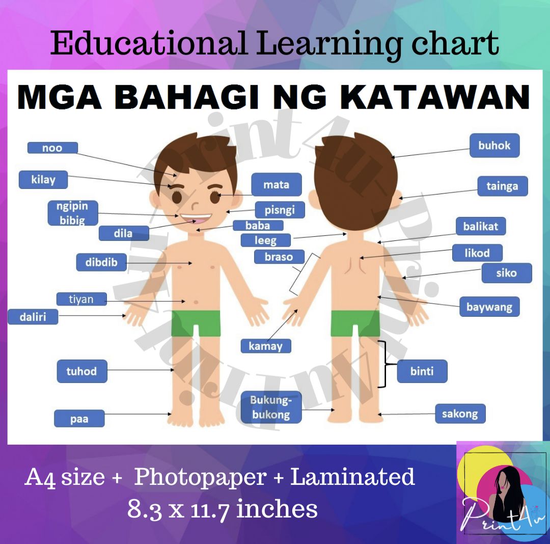 Laminated Educational Chart Bahagi Ng Katawan Chart Boy And Girl A4