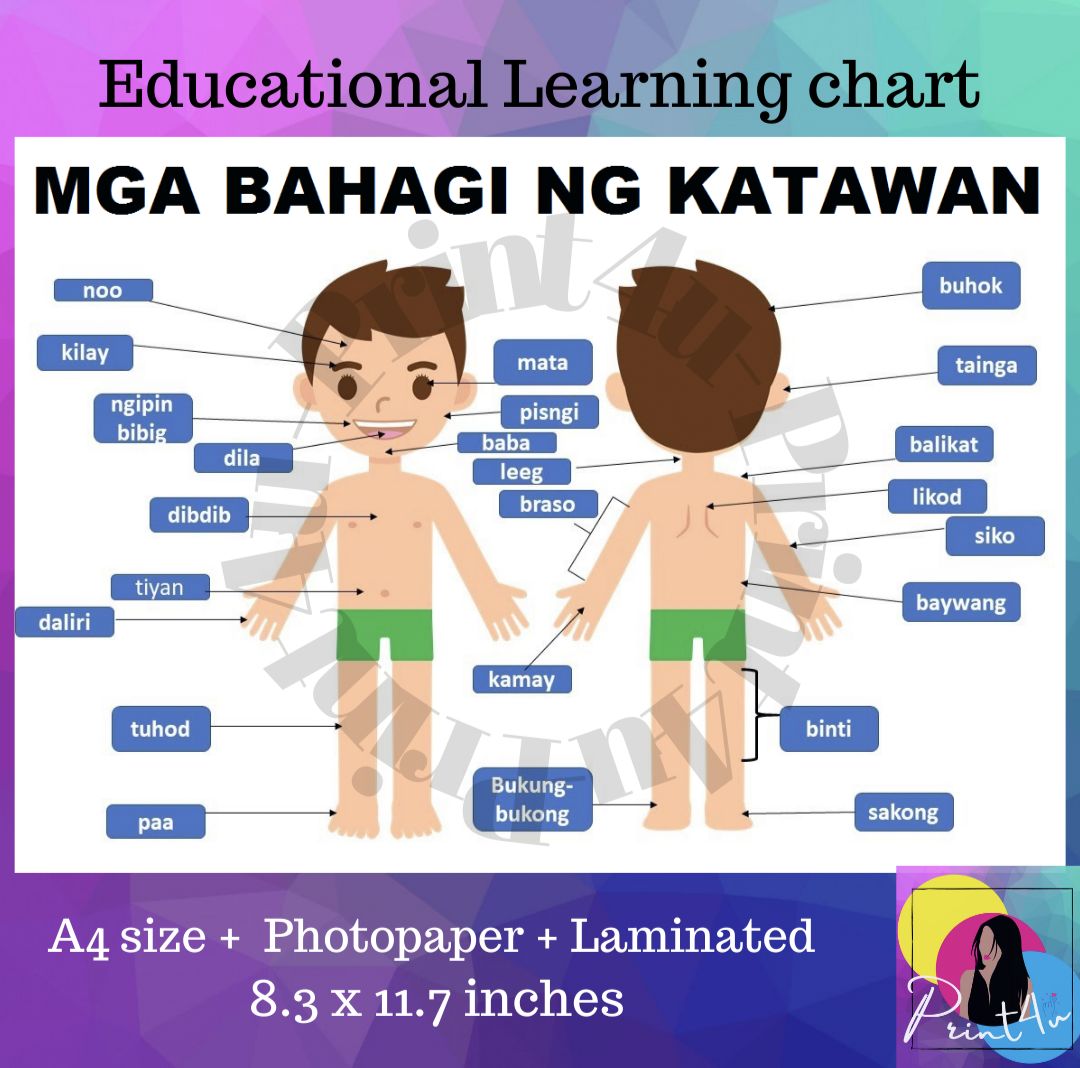 Mga Bahagi Ng Katawan Learning Chart Tagalog Laminated Shopee Philippines Sexiz Pix 4740