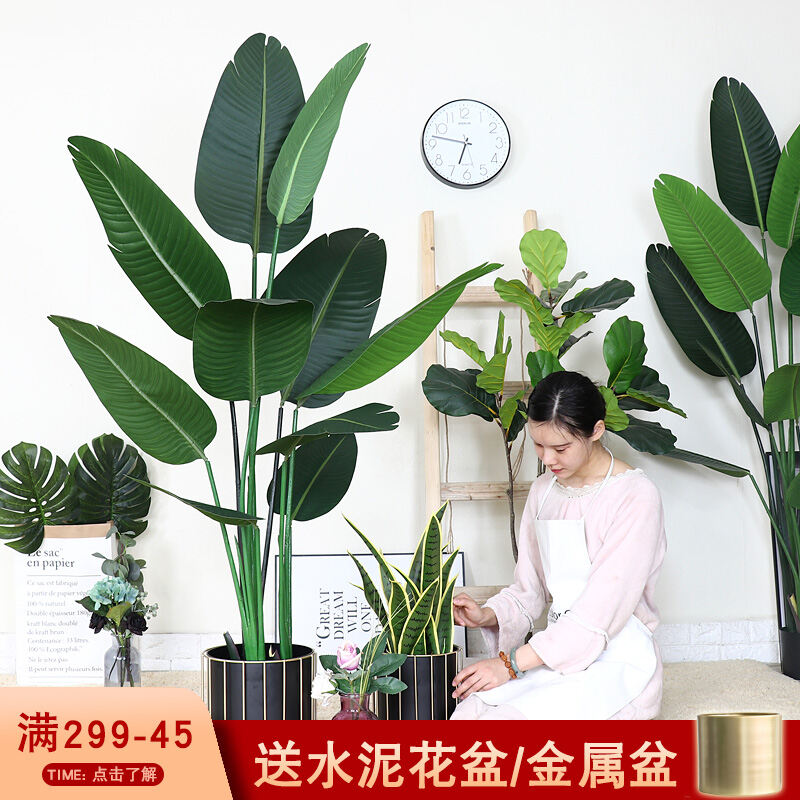 Big Fake Plants For Indoor Shop Big Fake Plants For Indoor With Great Discounts And Prices Online Lazada Philippines