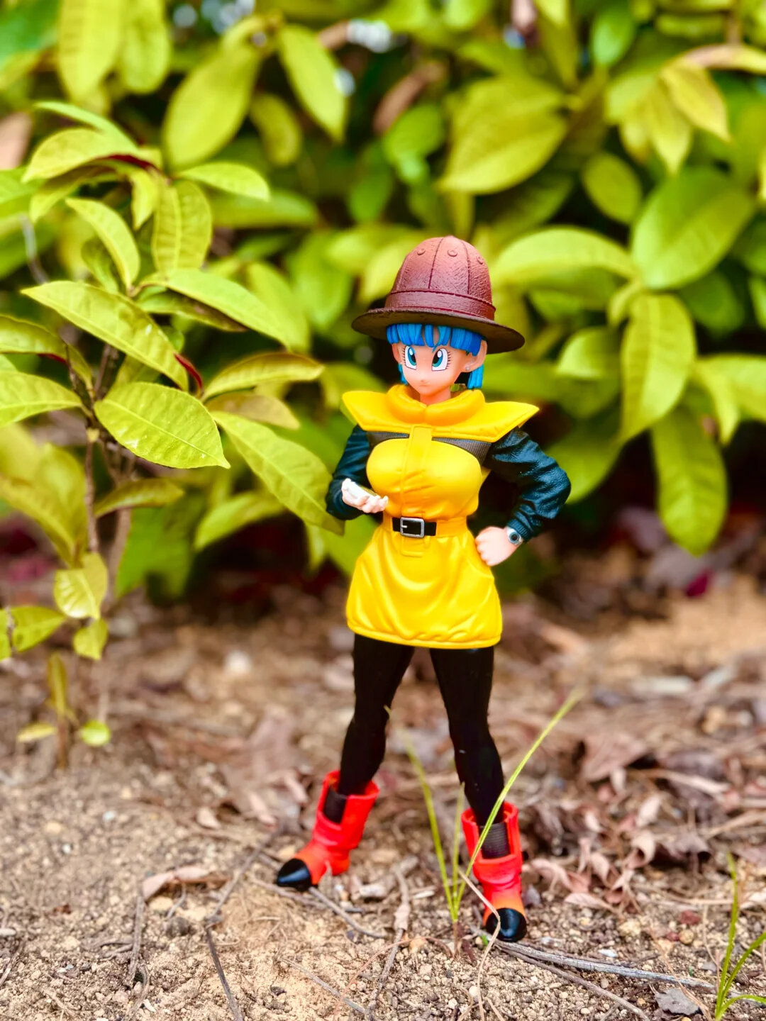 Shop Bulma Xxx Online with Best Discounts and Low Prices | Lazada  Philippines