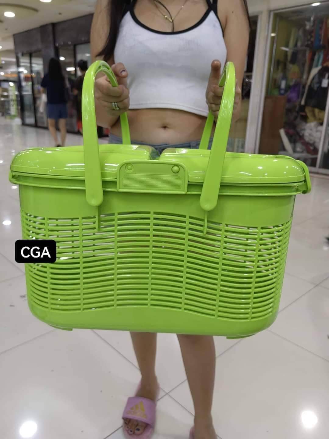 BIG PICNIC BASKET Lazada PH