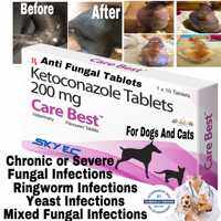 Sky Ec Care Best Ketoconazole Fungal Infections Oral Tablets by 10s