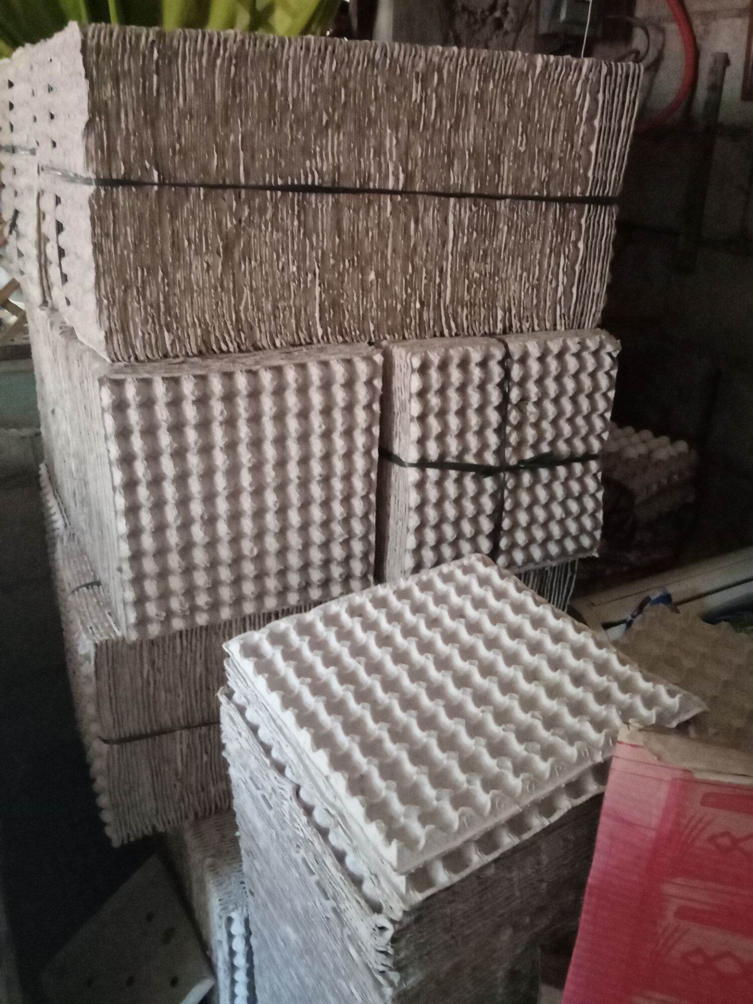 quail egg tray Lazada PH