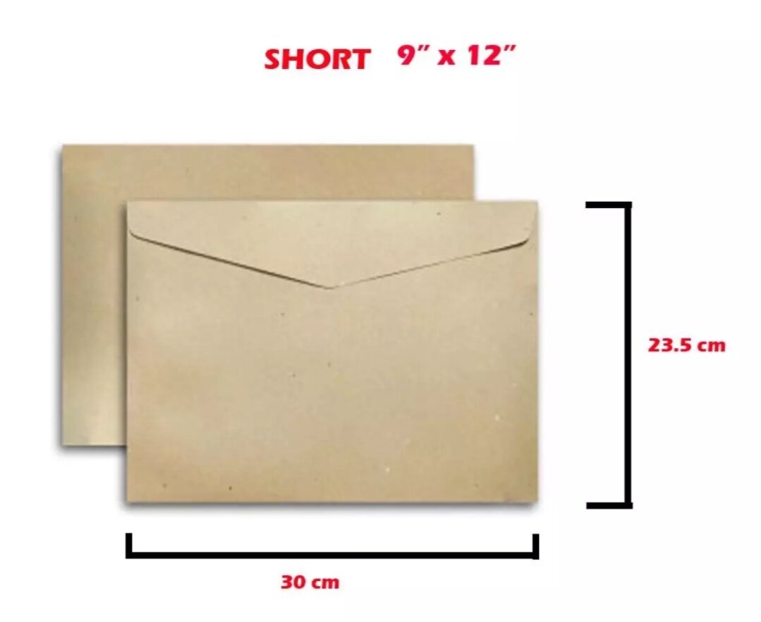 12 pcs brown envelope long and shorts envelope. 