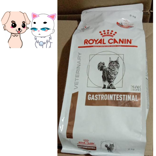 ROYAL CANIN GASTROINTESTINAL CAT FOOD 2KG Lazada PH