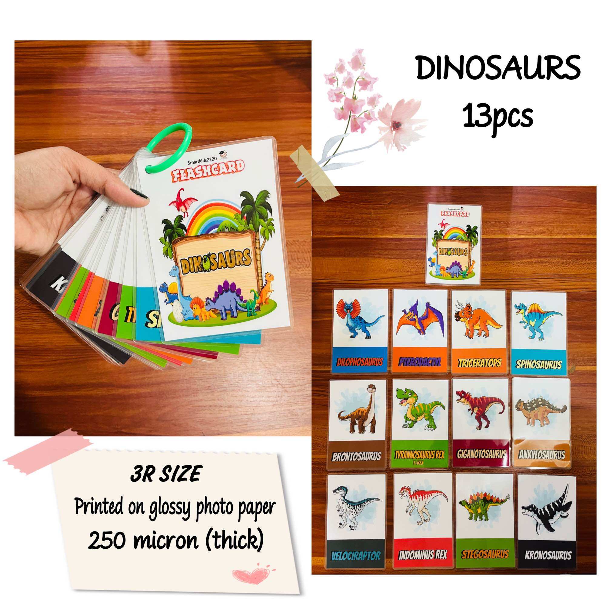 DINOSAURS FLASHCARD Laminated 3R Size | Lazada PH