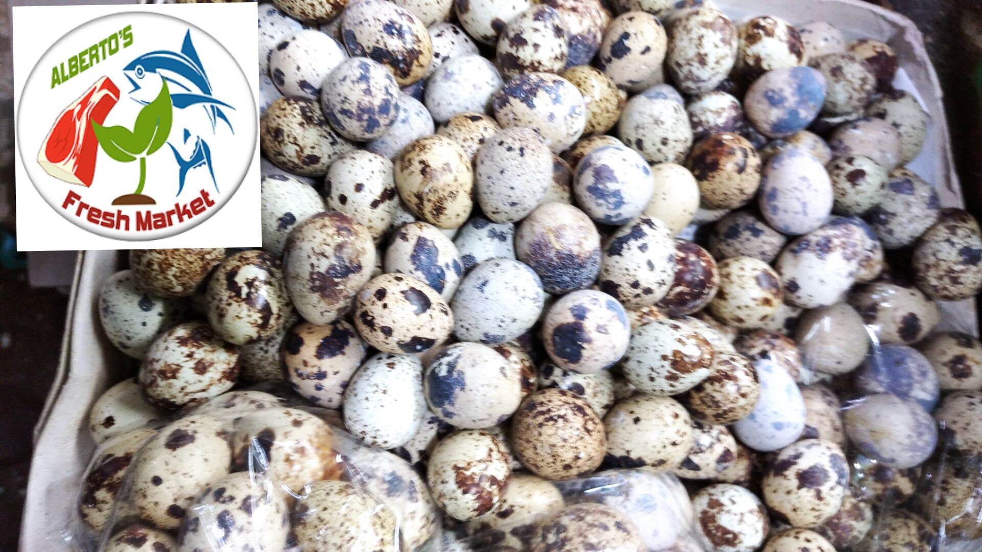 FRESH PUGO (QUAIL) EGG 100 pcs | Lazada PH