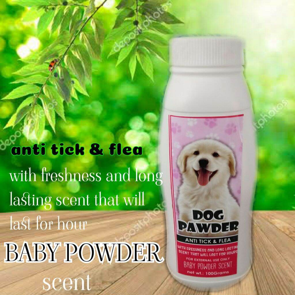 Baby powder on hotsell dogs for fleas