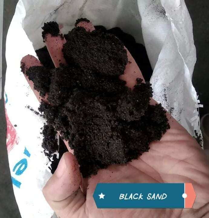 Natural Black Sand for Aquarium Substrate and Aquascape Lazada PH