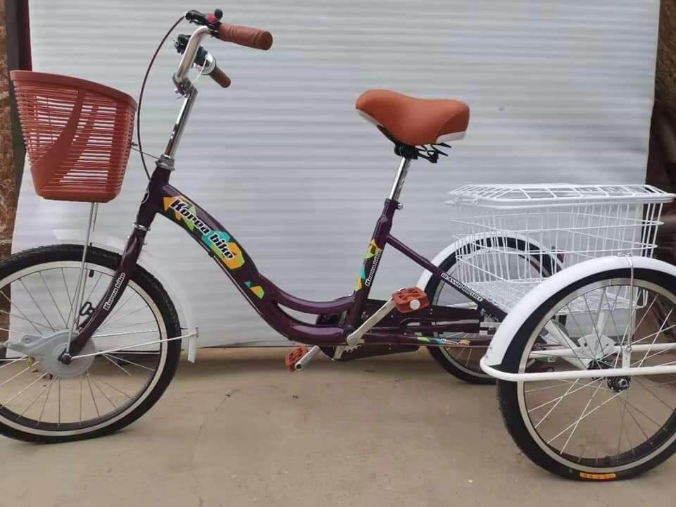 korean 3 wheel bike