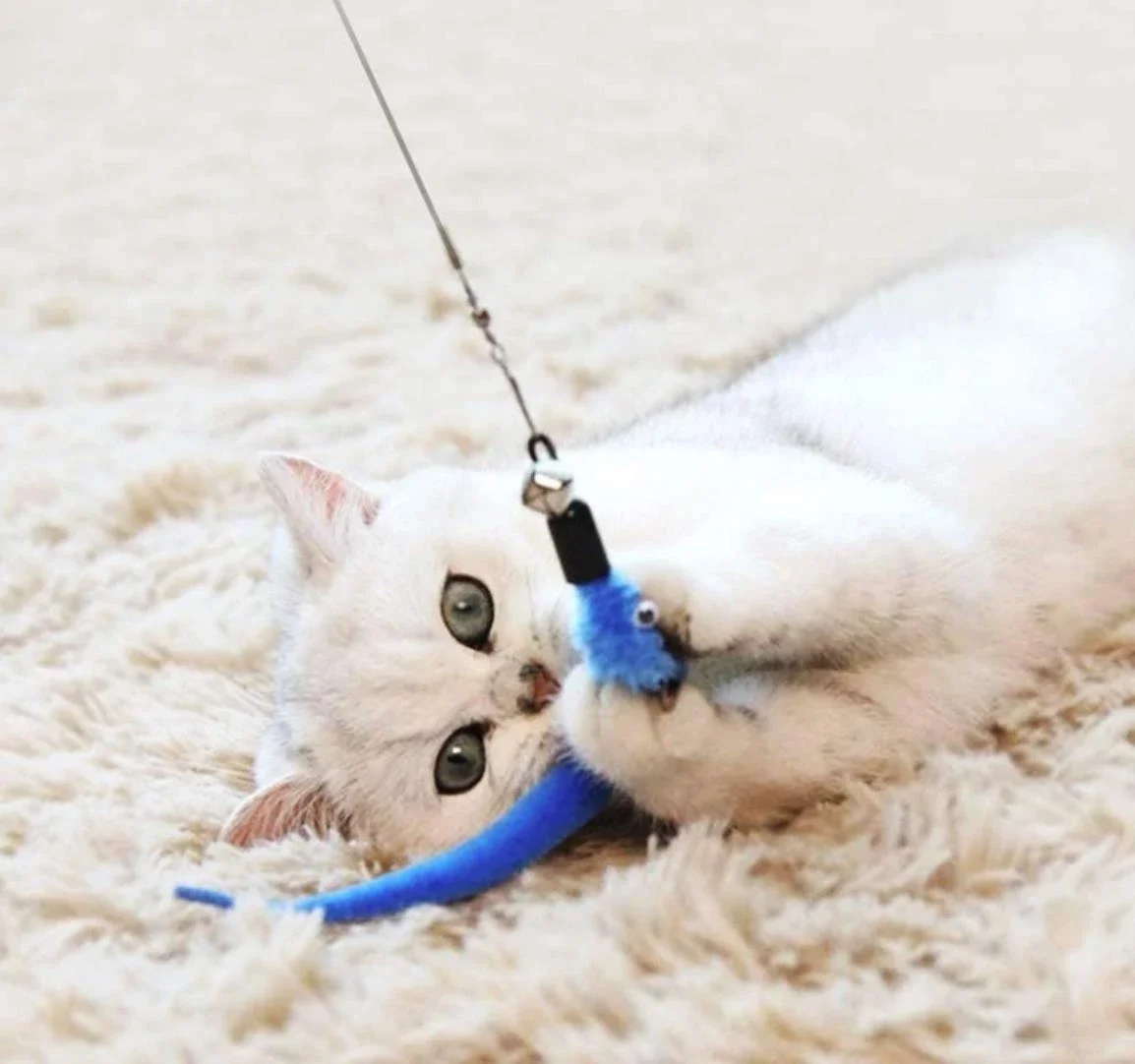 11pcs Replacement Cat Feather Toy Set Feather Replacement Head Retractable Cat Stick Cat Products. 