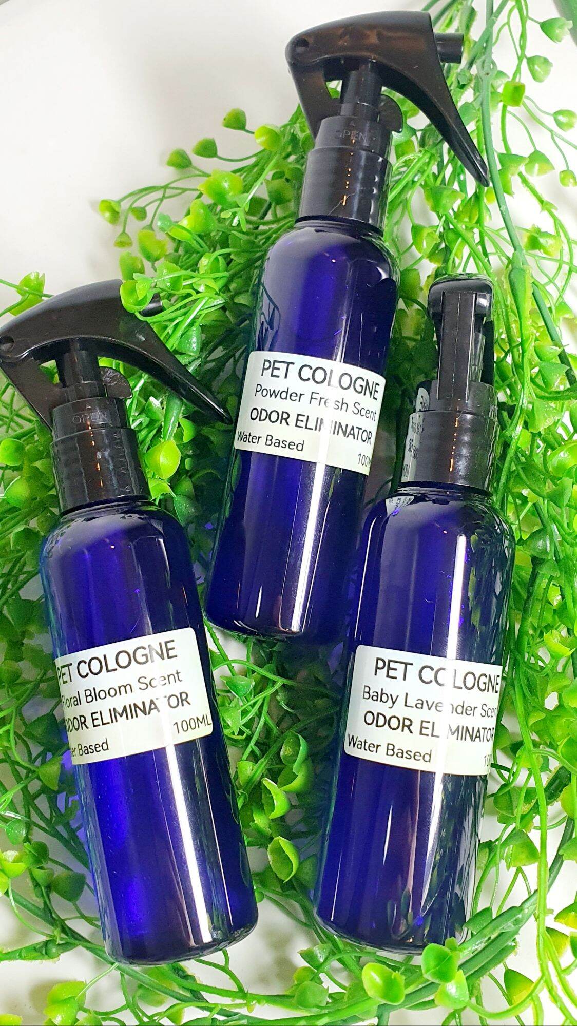 PET COLOGNE SPRAY / ODOR ELIMINATOR / WATER BASED / 100 ML Lazada PH