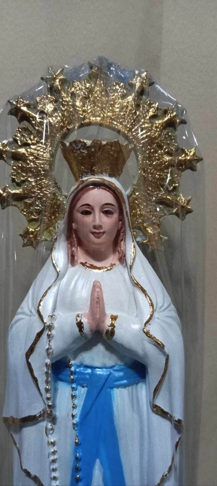 Our Lady of Lourdes (24inches) | Lazada PH