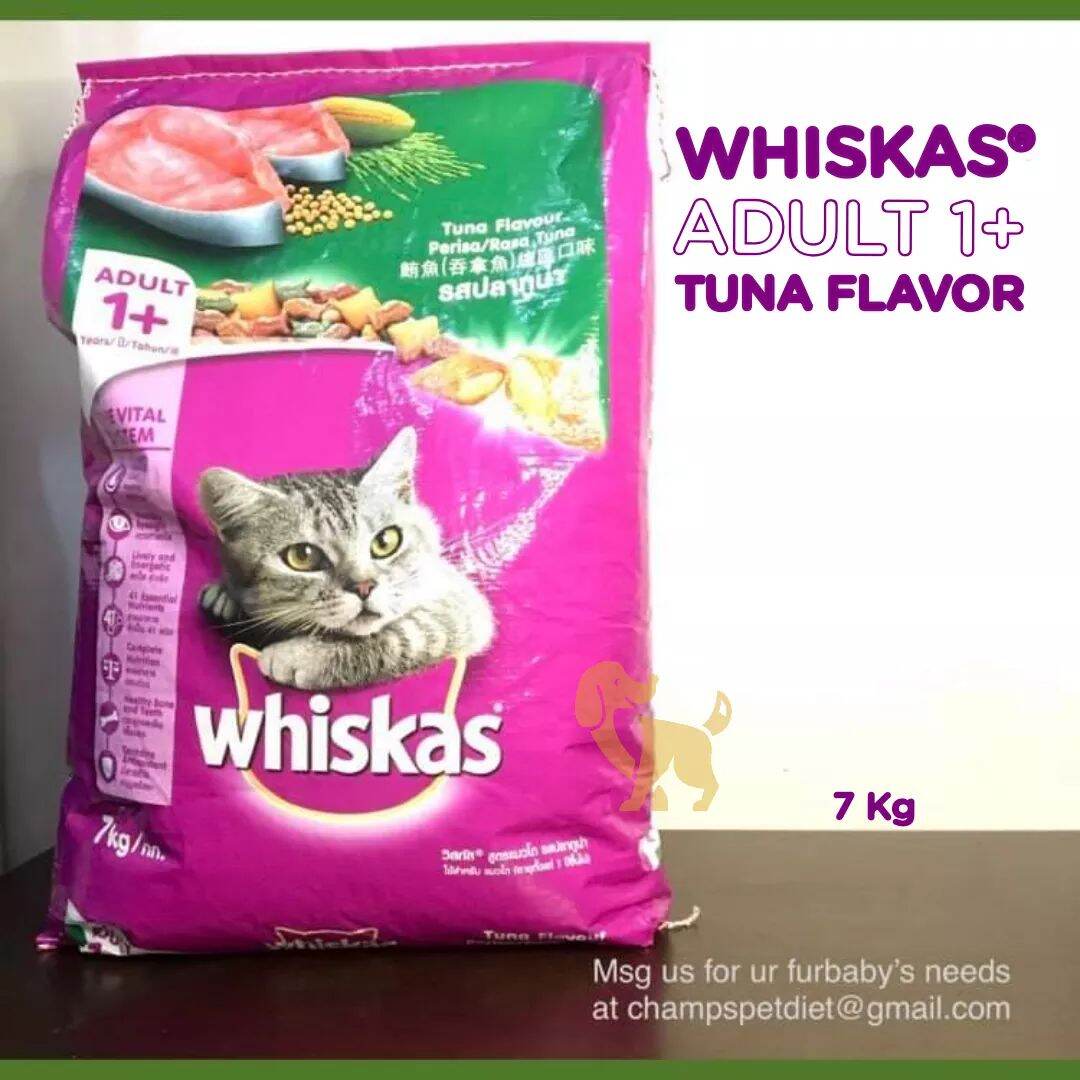 whiskas milk - Shop whiskas milk with great discounts and prices 