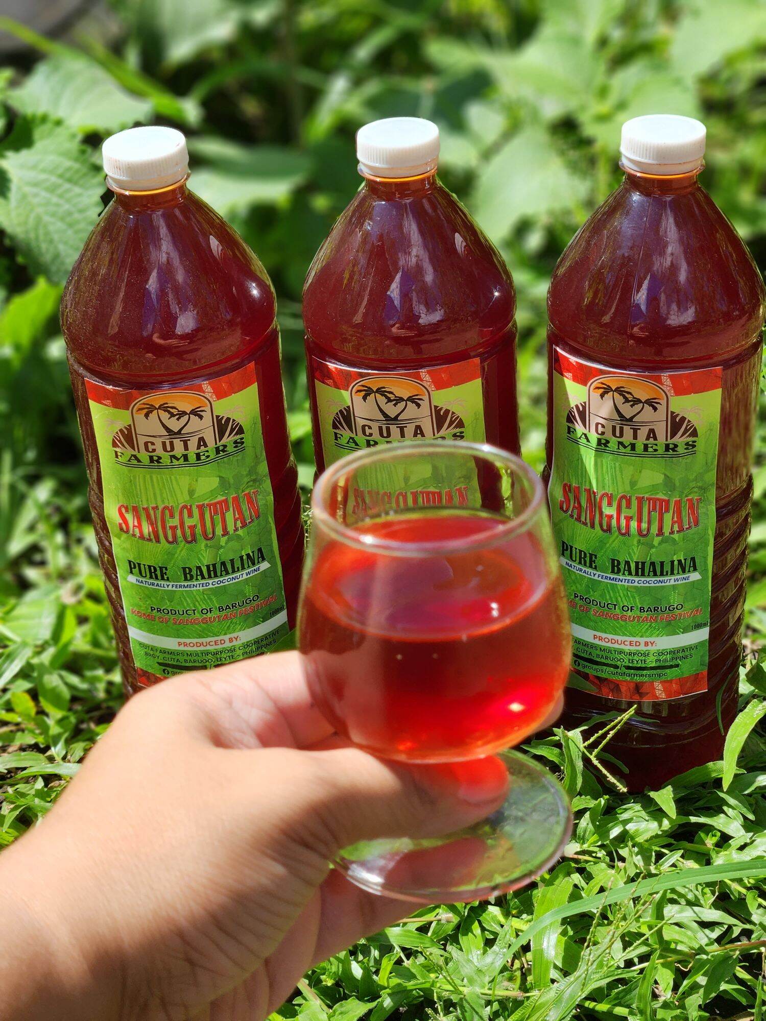 Tuba Bahalina 3 to 4 years old from Leyte Lazada PH