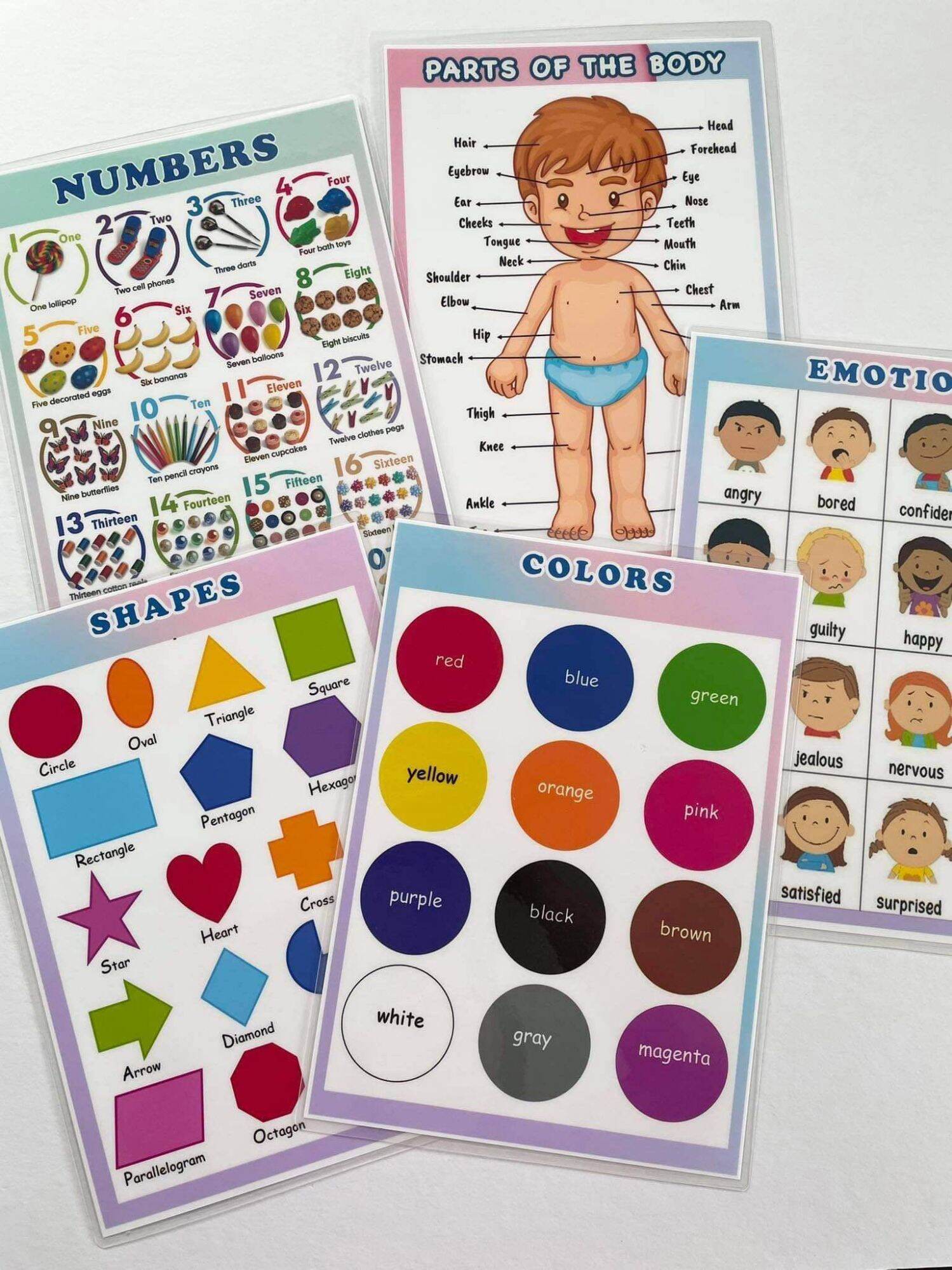 Learning Education Chart (laminated A4 size). 