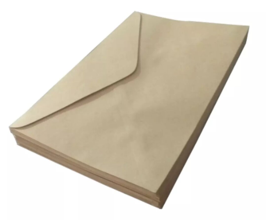 12 pcs brown envelope long and shorts envelope. 