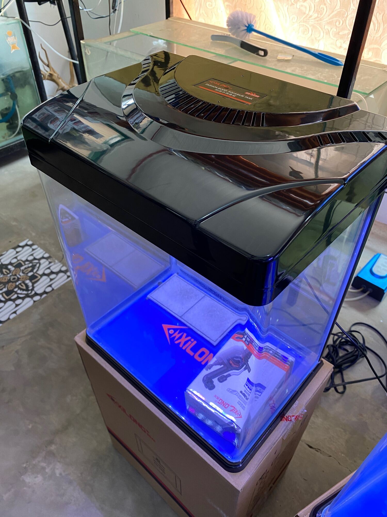 Xilong 32cm (5 Gal) Curve Tank “ Water Ready Tank “ Lazada PH