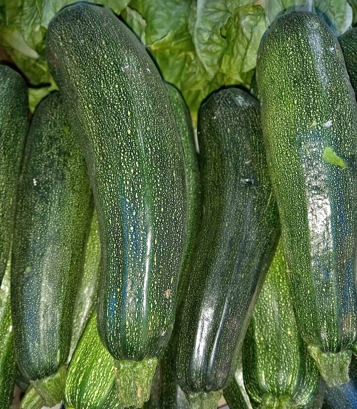 MELANIA'S Zucchini 500 grams Lazada PH