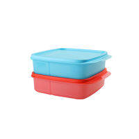 Tupperware | Cute Lunch Box for Office Workers and Students 550ml