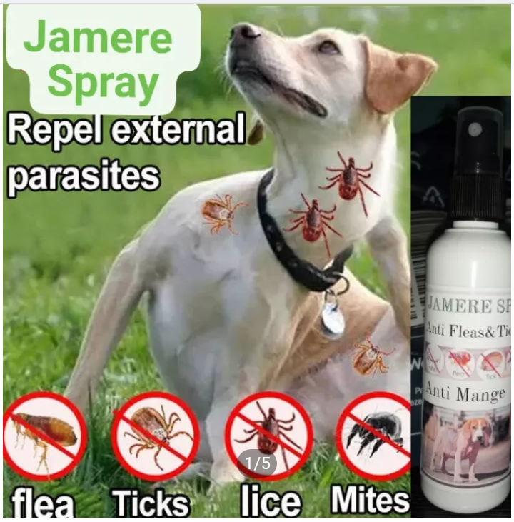 JAMERE SPRAY CURE TO MANGE,FLEAS AND TICKS | Lazada PH