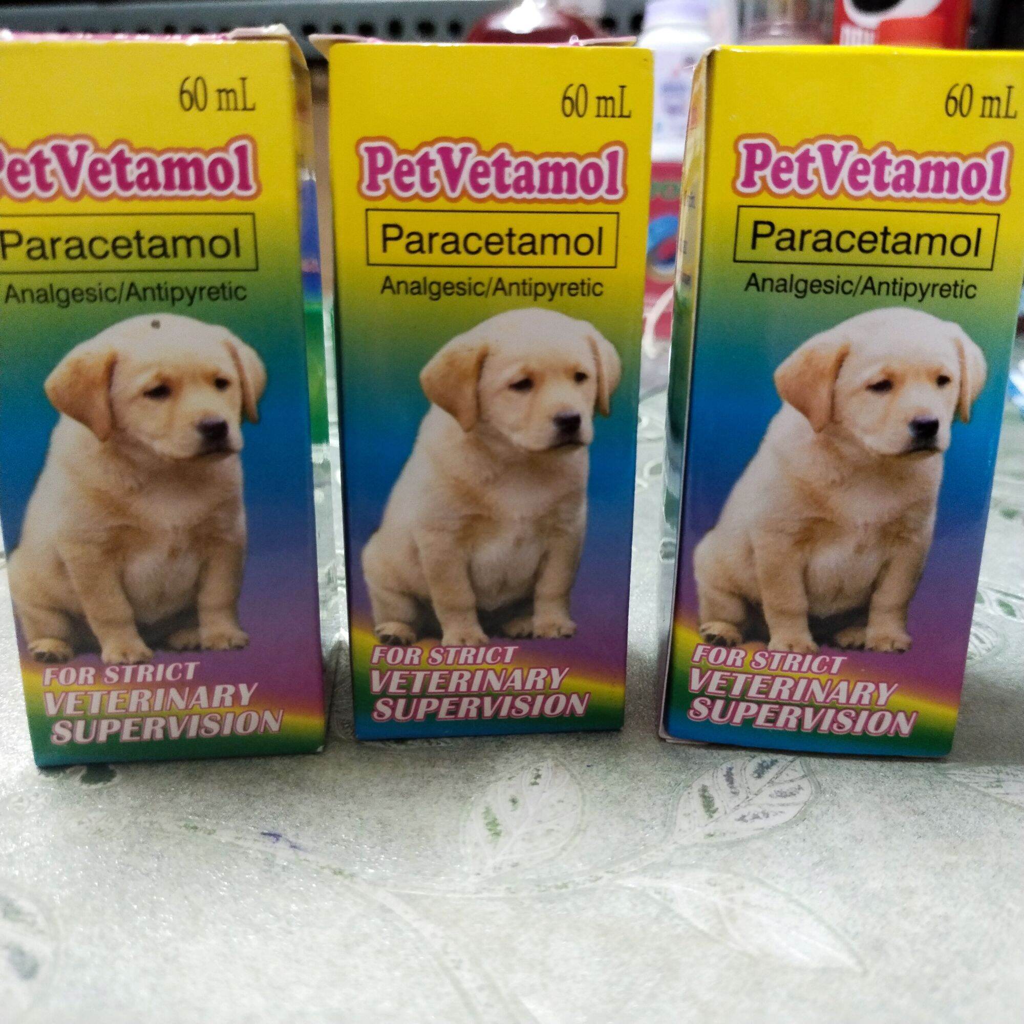 Can I Give My Dog Liquid Paracetamol why-do-you-give-dogs-pumpkin
