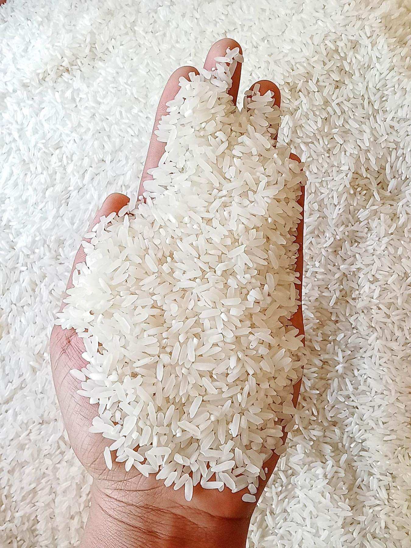BUCO PANDAN PREMIUM RICE 25KG (QUALITY RICE) | Lazada PH