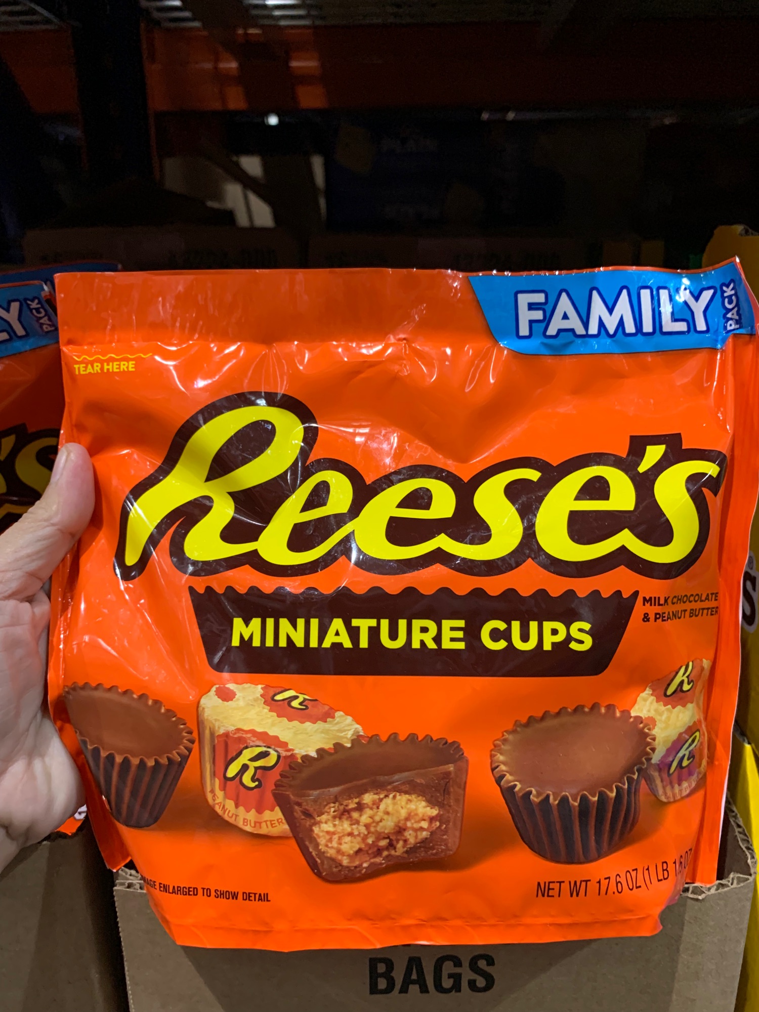Reeses Peanut Buttercups Mini Family Size | Lazada PH