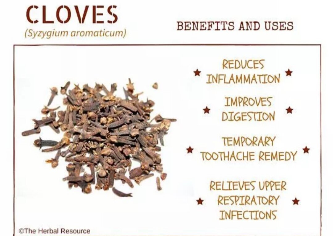 Filipino Dried Cloves In Tagalog at David Pearson blog