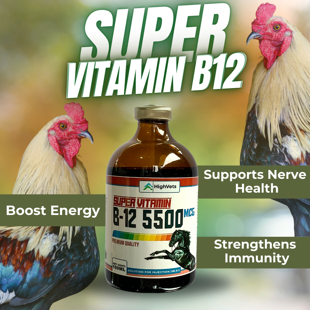 Shop Super B12 Injectable 10ml Cheap Fast & Easy | Lazada Philippines Shop Super B12 Injectable 10ml Cheap Fast & Easy | Lazada Philippines