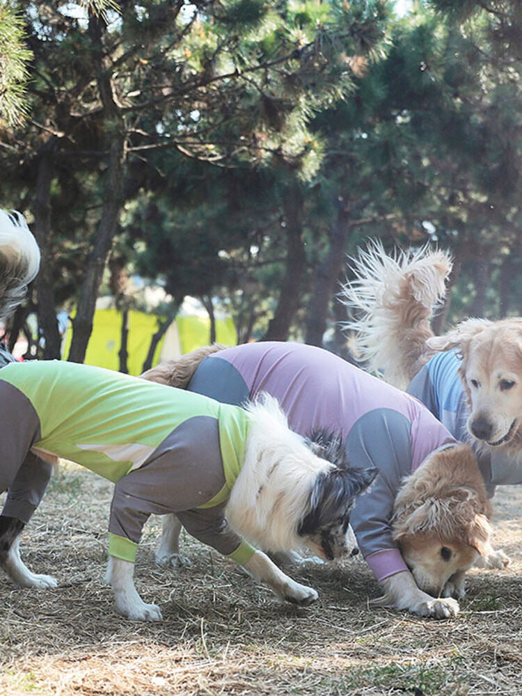 Waterproof Bug-Proof Large Medium Dog Four-Legged Clothes Golden Retriever Labrador Husky Summer Sun Protection Pet Supplies Presyo  2,010 Piso*Libreng Shipping