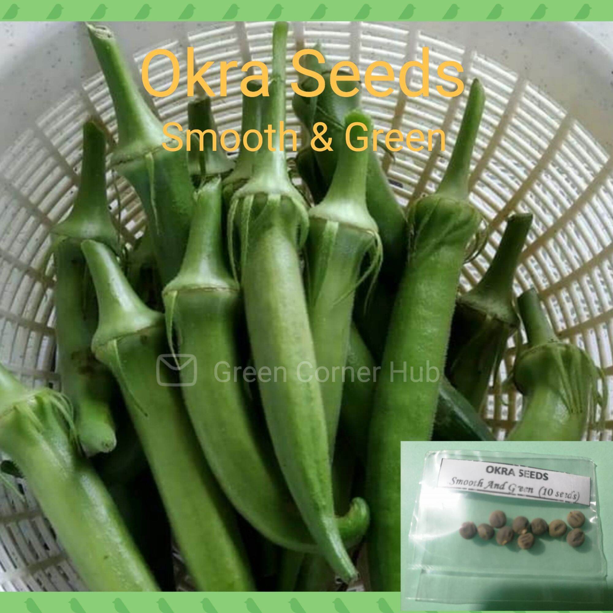 Okra Seeds