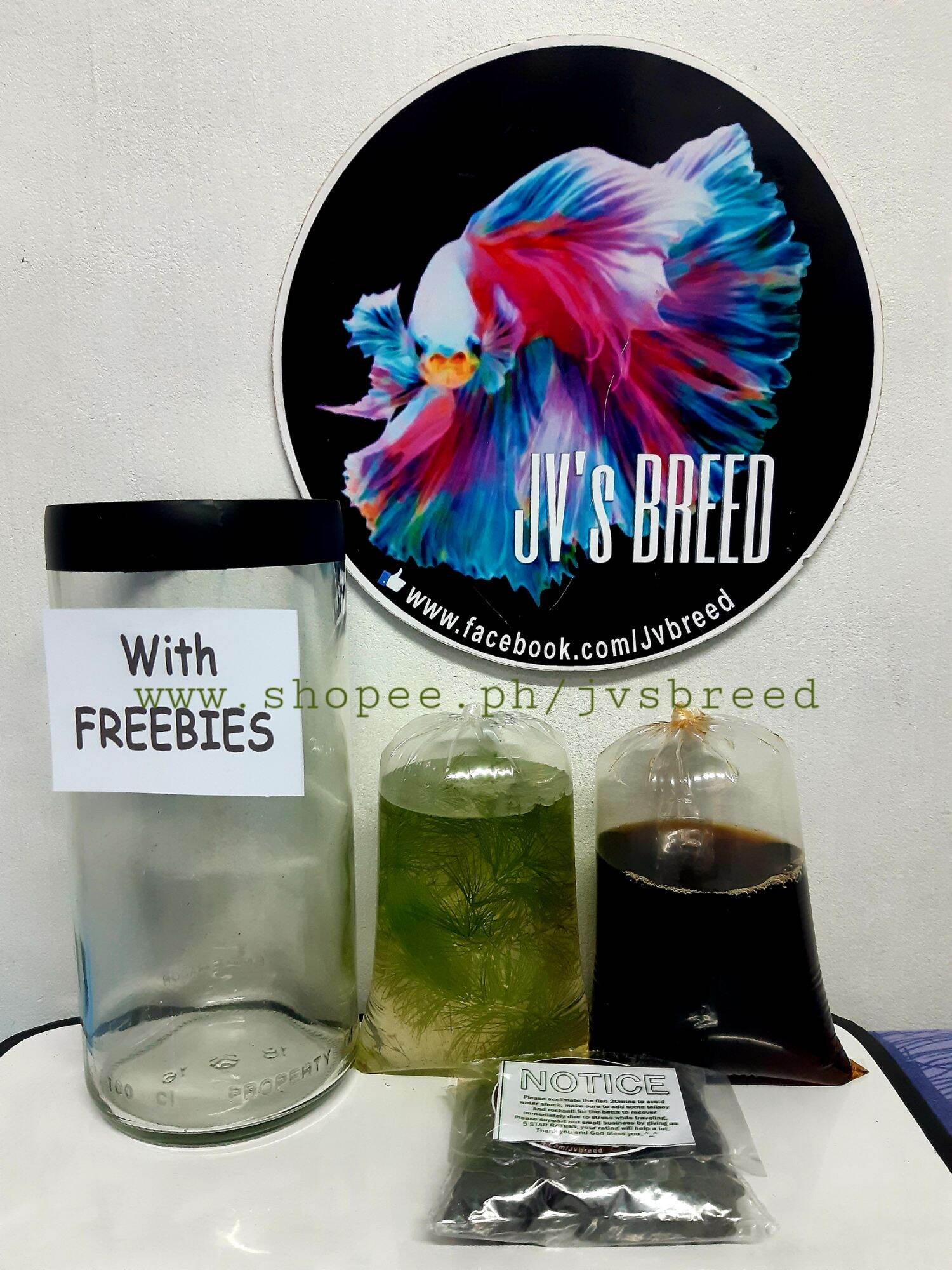 AQUARIUM/TANK SET WITH FREEBIE fr. Jvs Breed Lazada PH