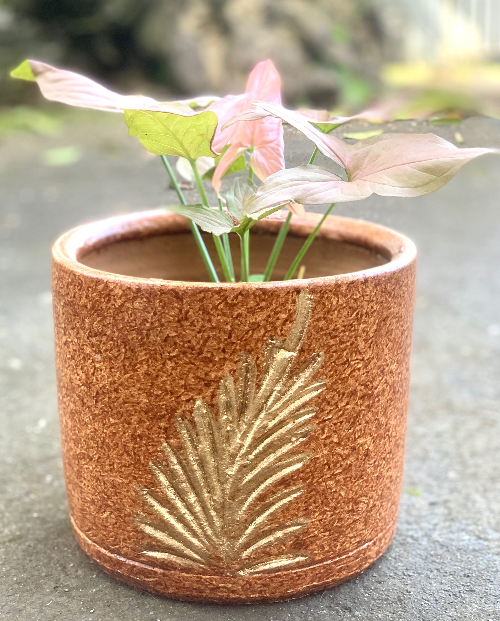 Clay Pot for Plants 8x8