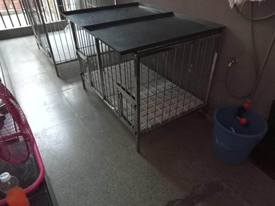 3x3x3 dog cage