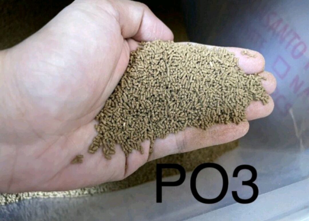 PO3 Tateh Feeds 1Kilo, 500grams, 100grams