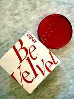 espoir Pro Tailor Be Velvet Cover SPF34/PA++ Cushion New Class Set