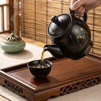 Tonze | Automatic Herbal Medicine Cooking Pot 3L