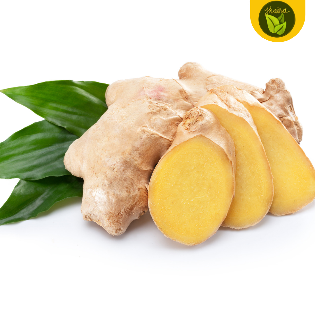 Luya Ginger Bulb Seeds 1 pc. for Planting Herb. 