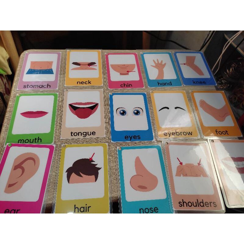 BODY PARTS LAMINATED FLASHCARDS | Lazada PH