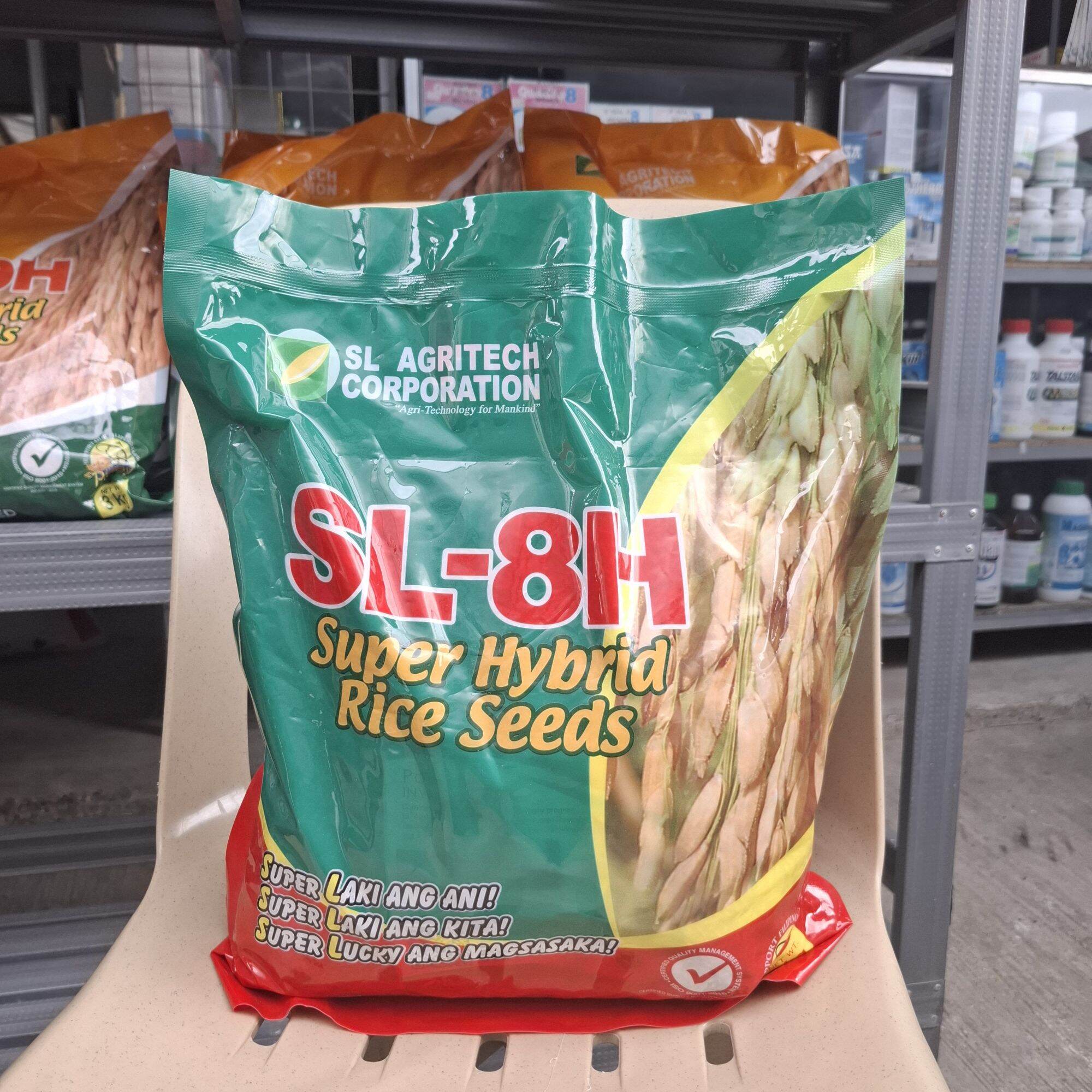 Sl8 Hybrid Rice SL-19H Hybrid Rice Seeds 3 kilos by SL Agritech Corporation | Lazada PH