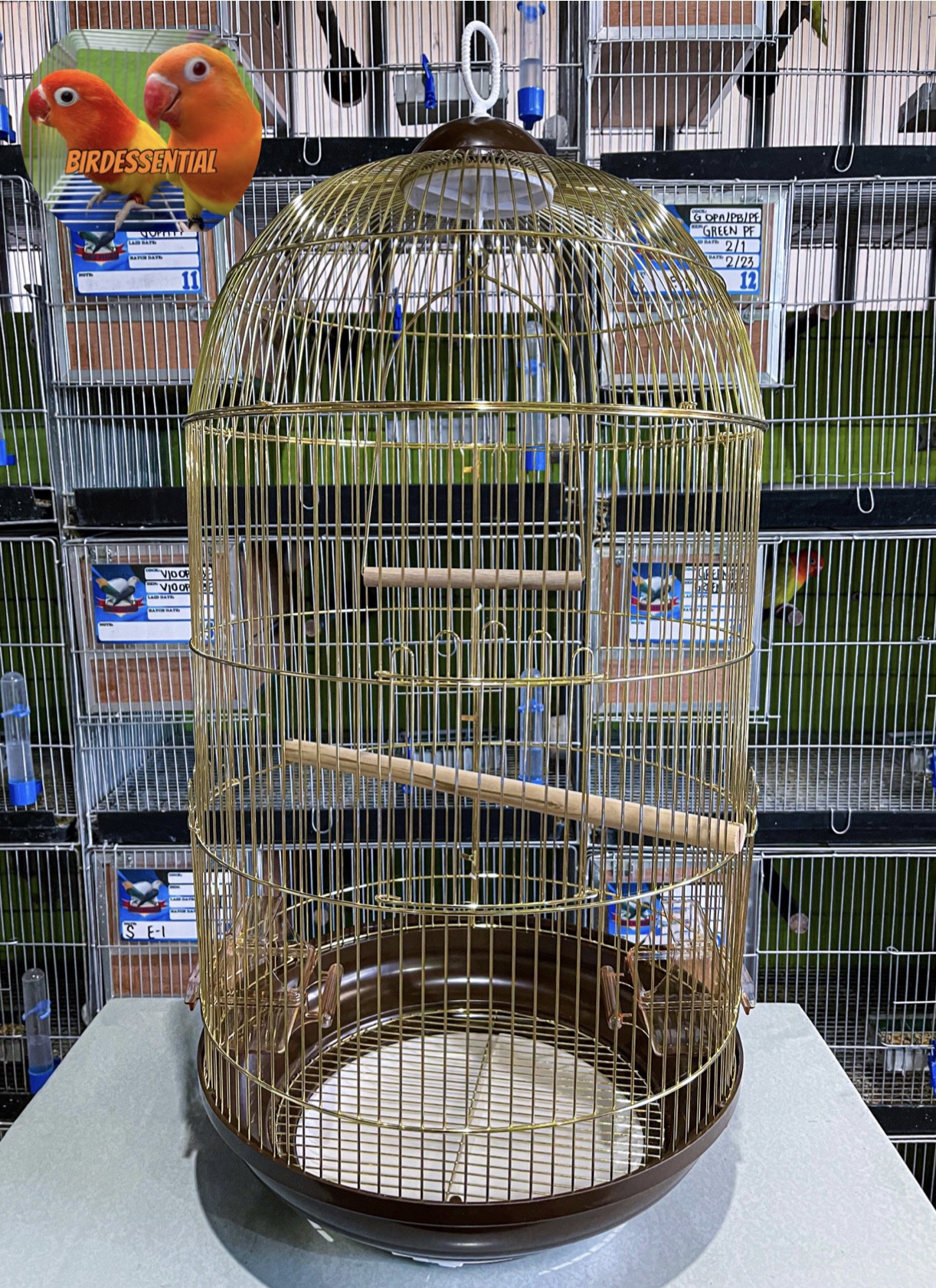 Collapsible Cylindrical Bird Cage Big