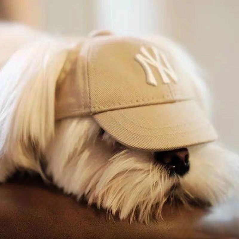 Pet Supplies Peaked Cap Dog Sun Hats Dog Baseball Caps Dog Hats  Wear-resistant *