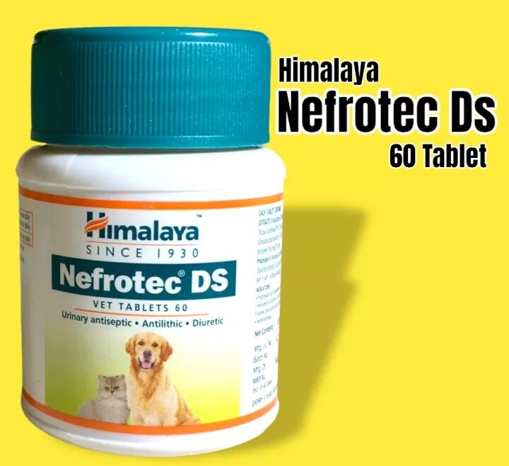 HIMALAYA NEFROTEC DS 60 TABLETS | Lazada PH